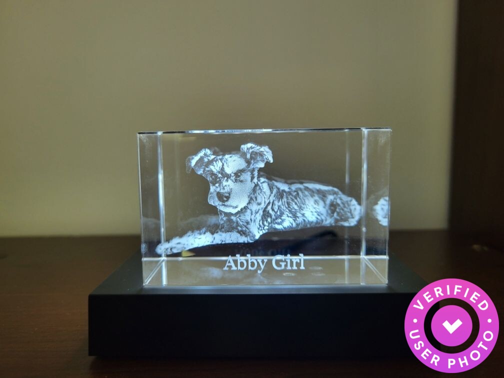 Brick 3D Photo Crystal