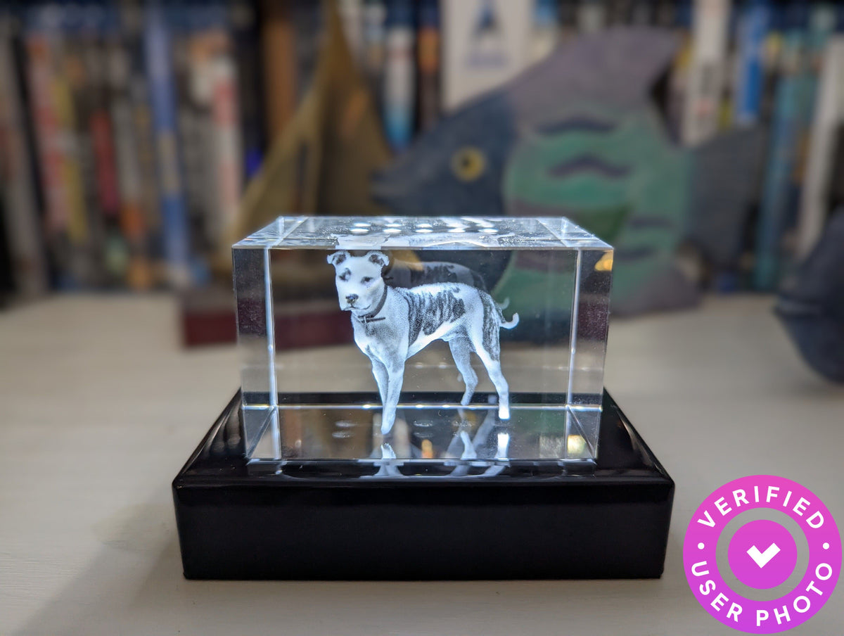 Brick 3D Photo Crystal