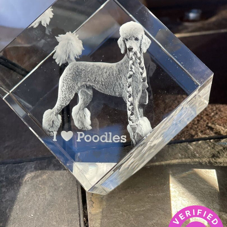 Cube 3D Photo Crystal