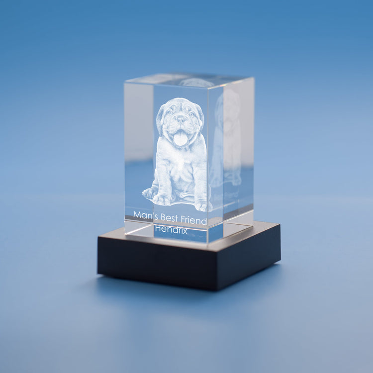 Tower 3D Photo Crystal